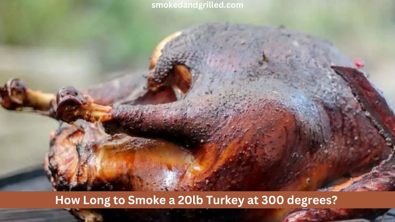 How Long to Smoke a 20lb Turkey at 300 degrees?